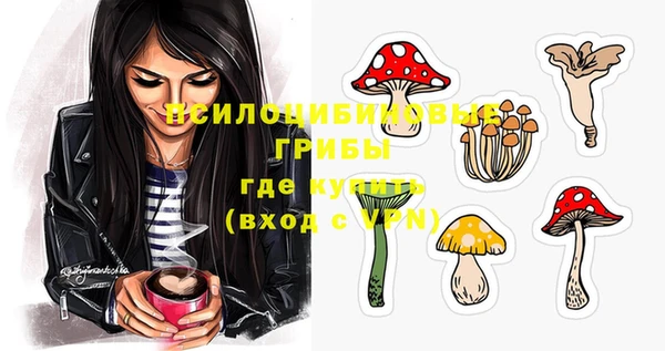 a pvp Алексеевка