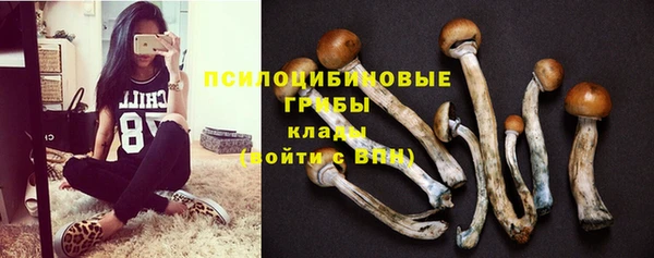 a pvp Алексеевка
