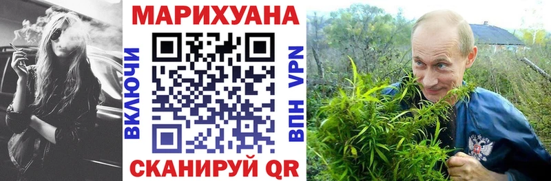закладки Волхов Шишки марихуана сатива